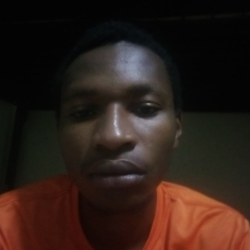 Denis N Wanguhi W. profile photo