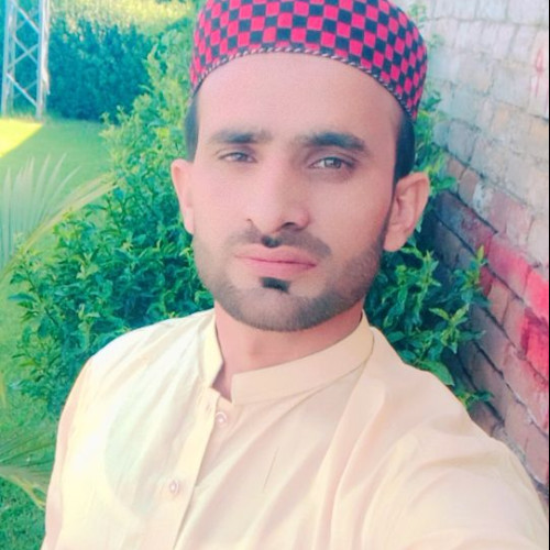 M Ramzan R.
