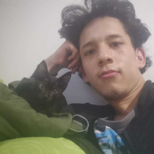 ritmo n. profile photo