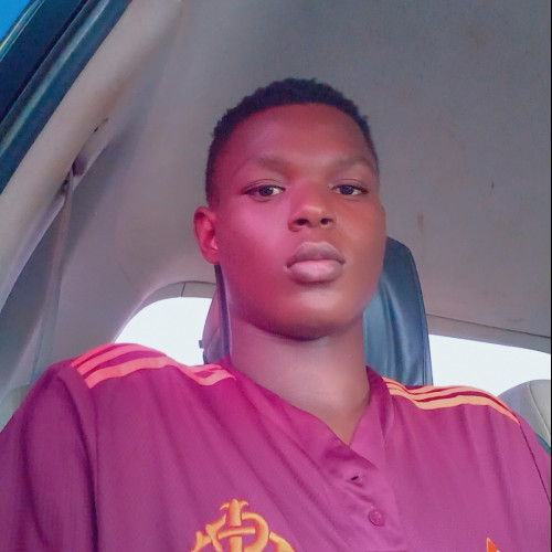 Bolarinwa  B. profile photo