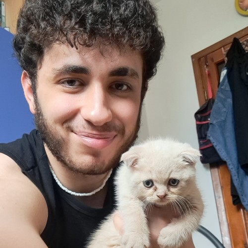 Ali D.