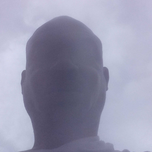 paulo M. profile photo