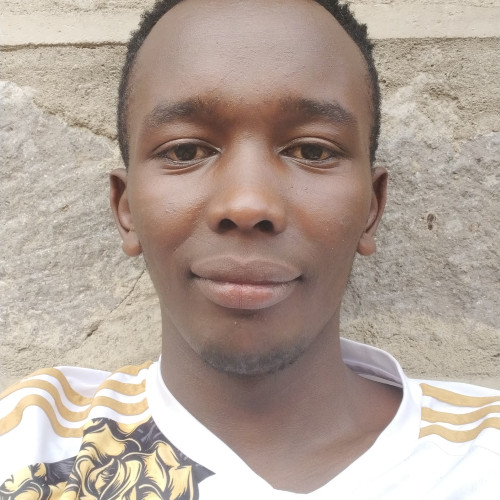 Tony M. profile photo