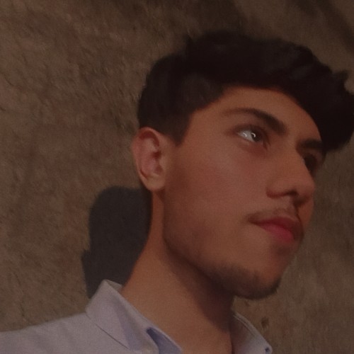 Ahmed H.