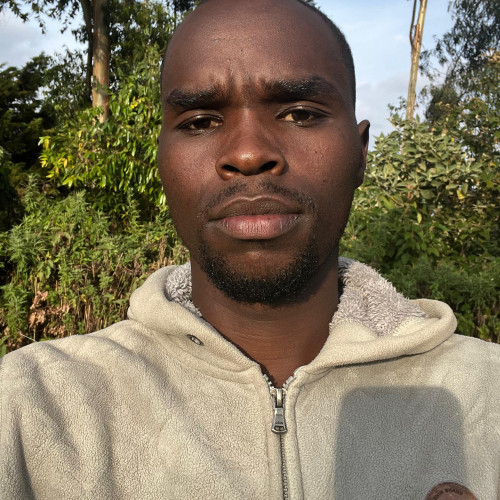 Javed M. profile photo