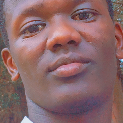 Kelvin  M. profile photo