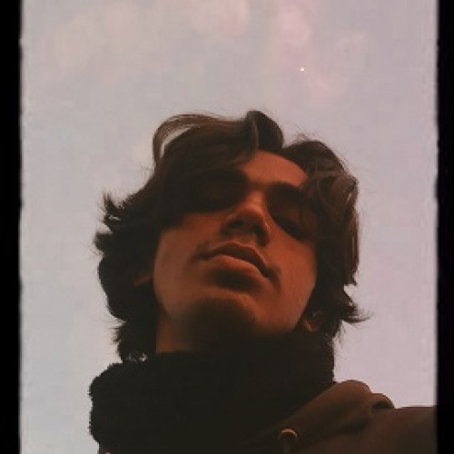 Ali  l. profile photo