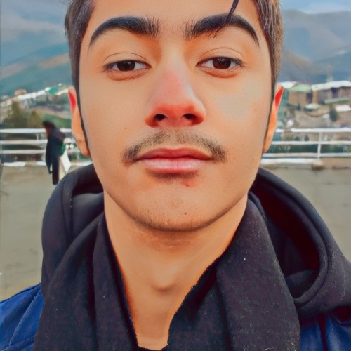 Anas  N.