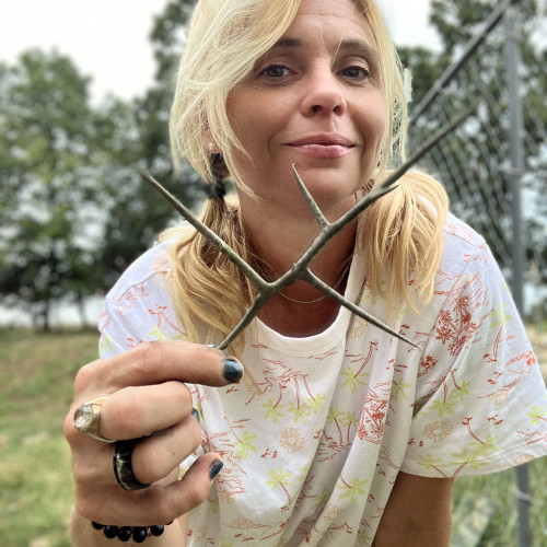 Lizzy M. profile photo