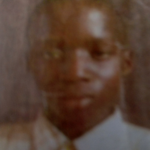 Peter M. profile photo
