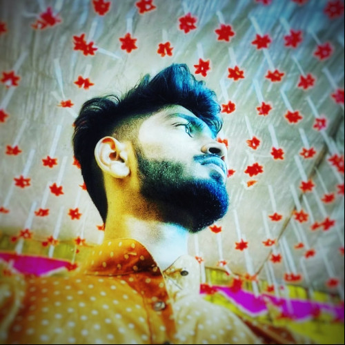 Rishav  T. profile photo