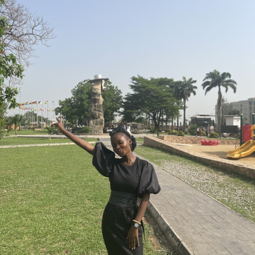 Oluwaseun  A. profile photo
