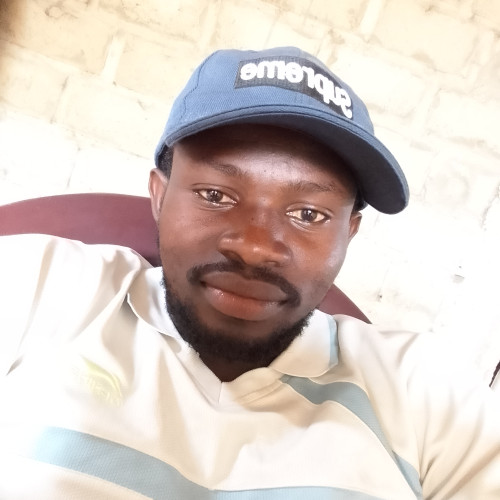Albert samba diop D. profile photo