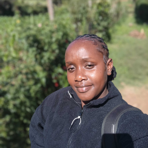 Christine m. profile photo