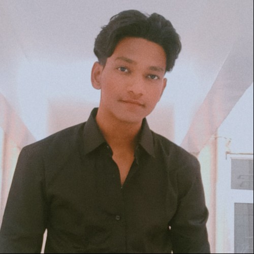 Ansari  F.