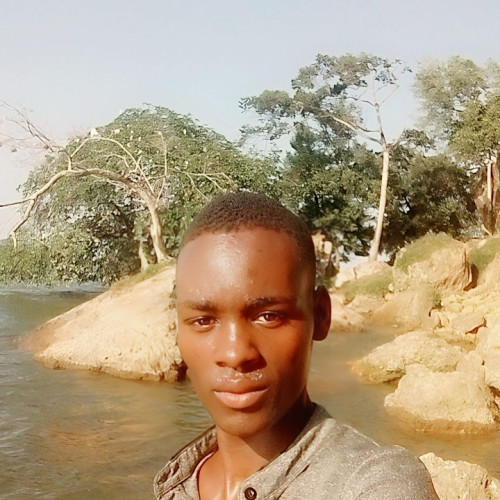 Kaweesi  F. profile photo
