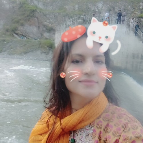 Mahwish Y.