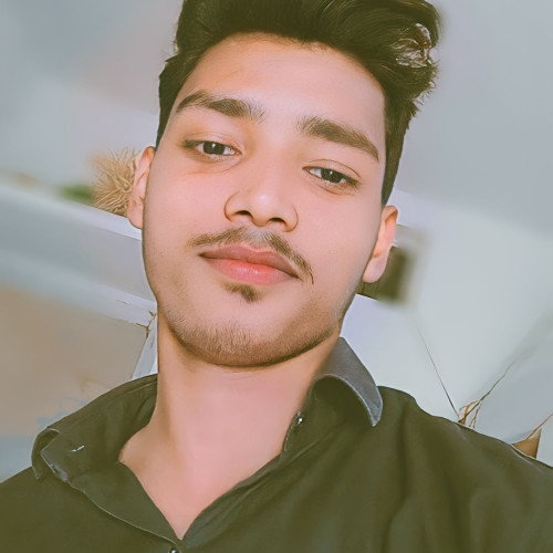 Rahul Vishwakarma V. profile photo