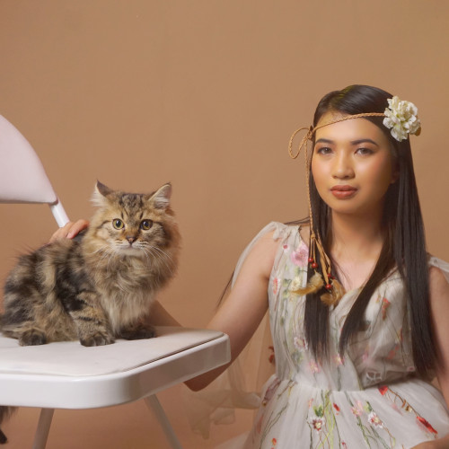 Tin T. profile photo