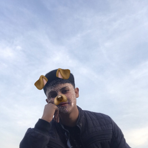 Yasin R. profile photo
