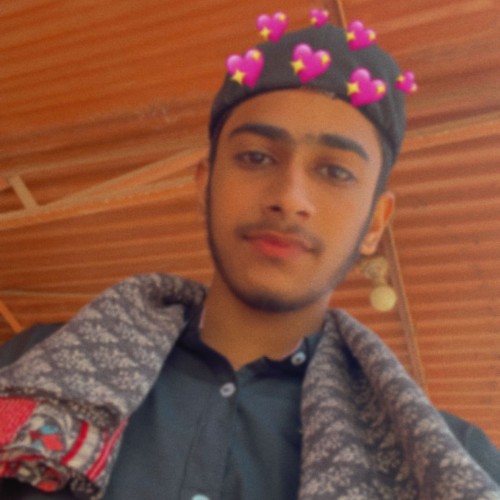 Nayab A. profile photo