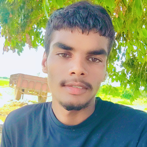 Manish M. profile photo