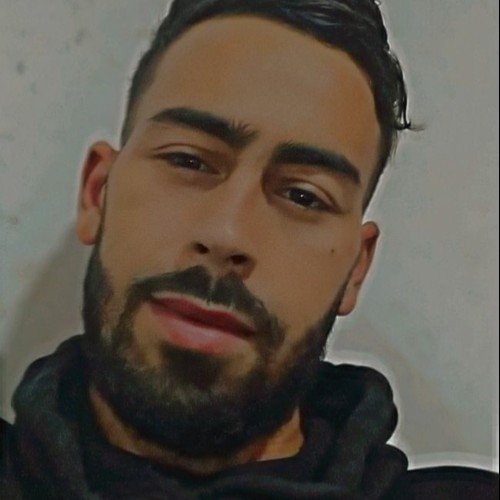 Ali N. profile photo