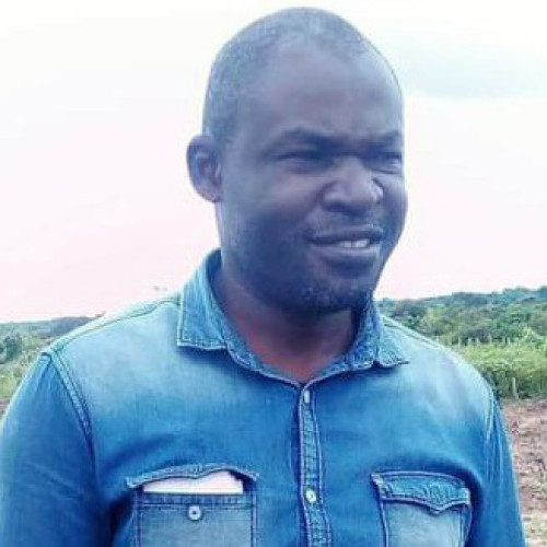 Kay  M. profile photo