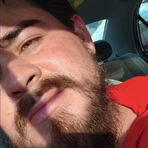 Alexis P. profile photo