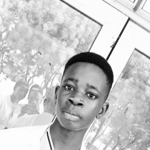 Samson s.