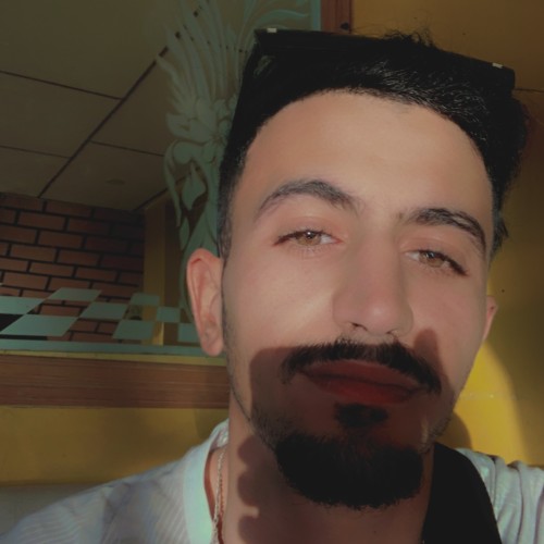 Mehdi E. profile photo