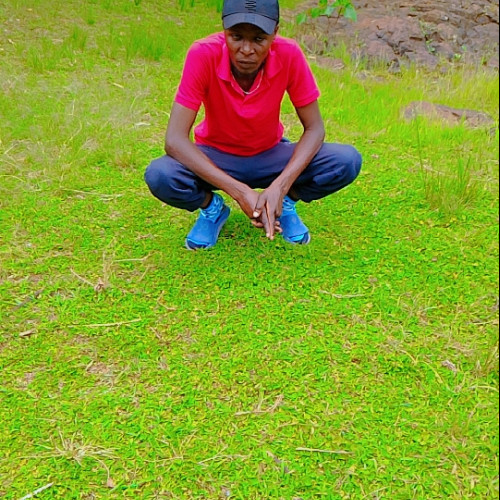 peter n. profile photo