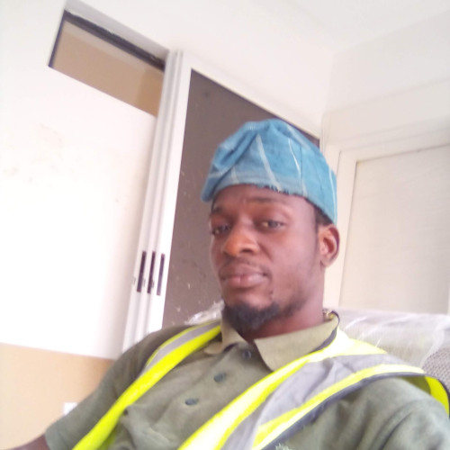 Olawale  L. profile photo