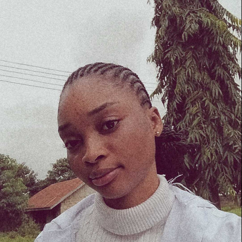 Olushola A. profile photo