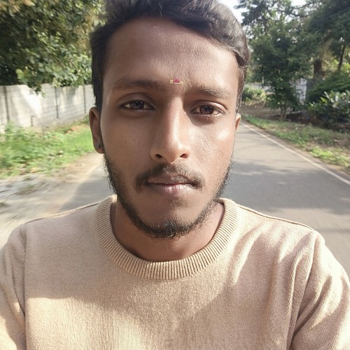 Asuran R.