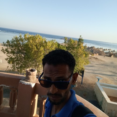 Shazly M. profile photo