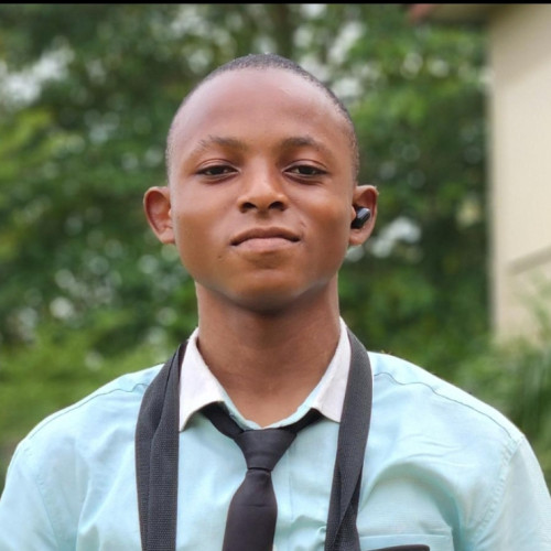Ibitayo  O. profile photo