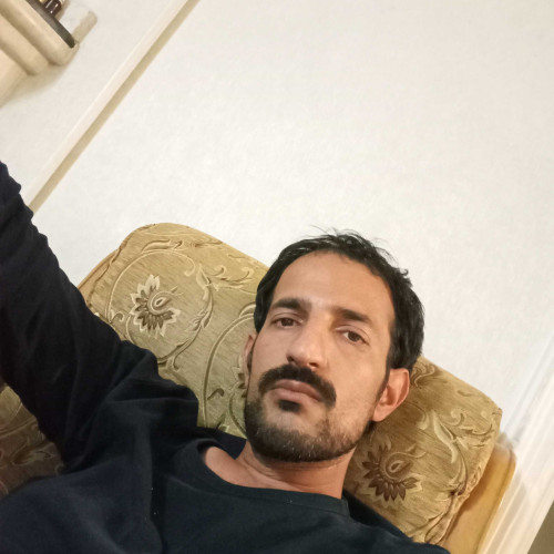 davood D. profile photo