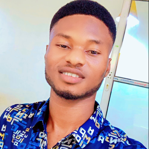 Ikechukwu  P. profile photo