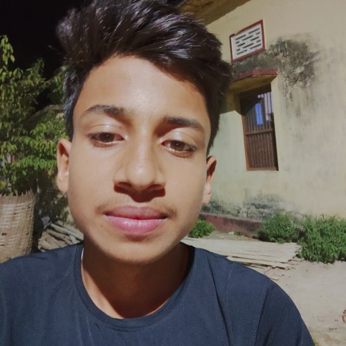 Tarique  A.