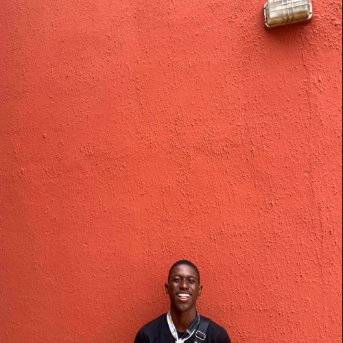 Akinbo  D. profile photo