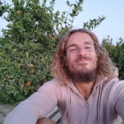 Orlando  B. profile photo