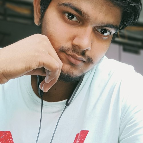 Narayan K.