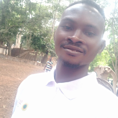 Kingsley O. profile photo