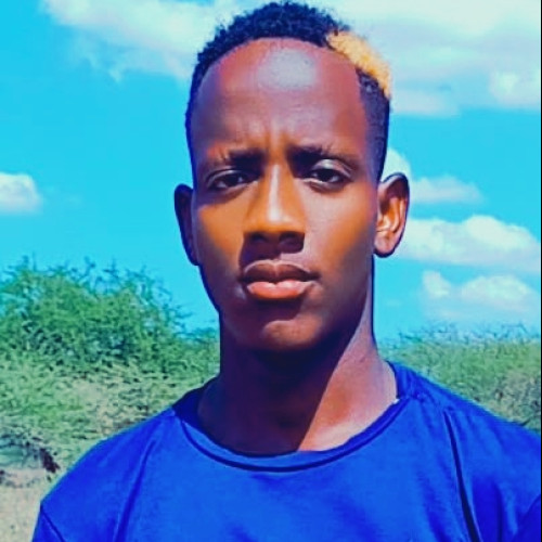Ryan R. profile photo