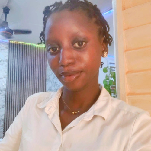Adebowale T. profile photo