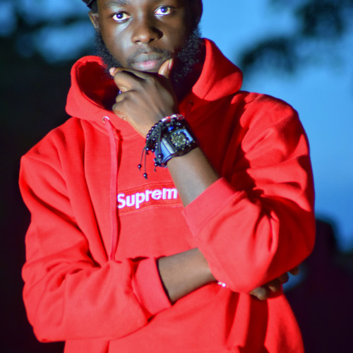 Ibrahim O. profile photo