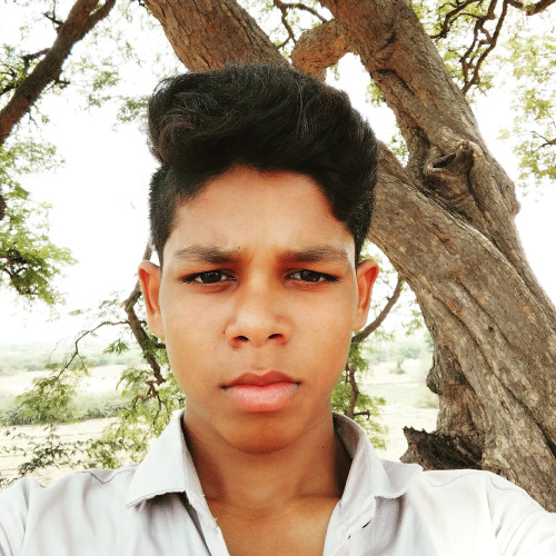 Shek M.