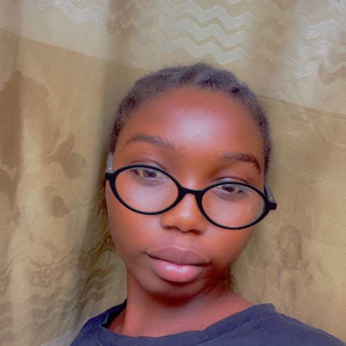 Opeyemi A. profile photo
