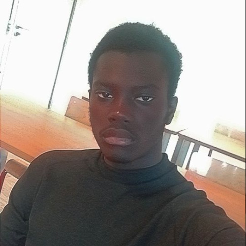 Mouhammad Moustapha M. profile photo